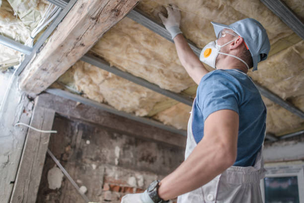 Best Insulation Inspection Services  in Nevada, MO