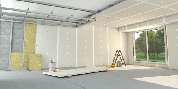 Best Residential Insulation Services  in Nevada, MO