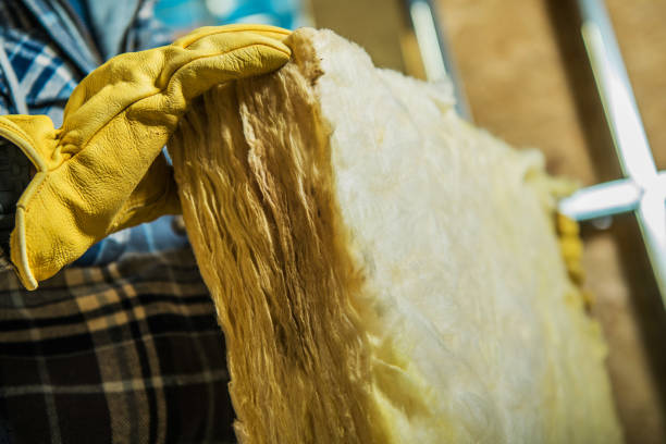 Best Best Insulation Companies  in Nevada, MO