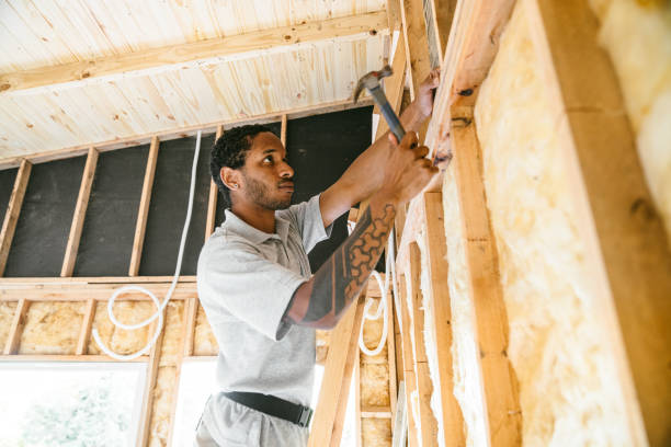 Best Insulation Repair Services  in Nevada, MO