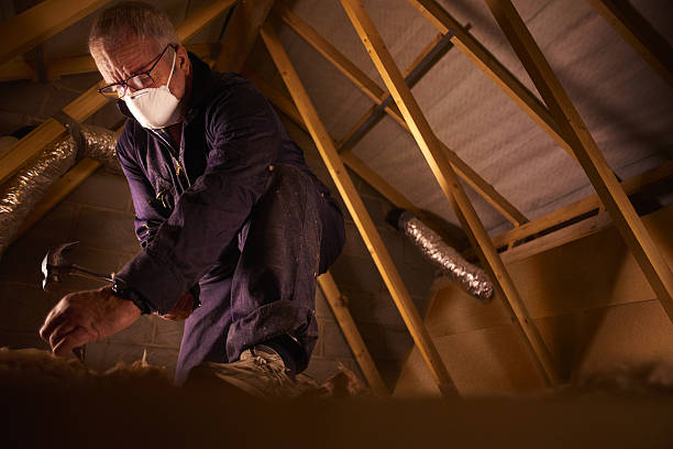 Best Affordable Insulation Services  in Nevada, MO